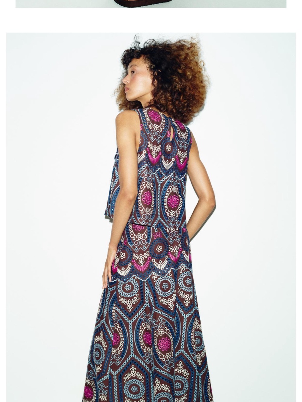Zara Embroidered Eyelet A-Line Madi  Skirt in Brown with Blue & Pink Accent - Picture 6 of 9